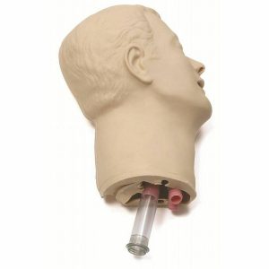 gesichtshaut-und-luftwege-inkl-zaehne-und-unterkiefer-fuer-airway-megacode-trainer